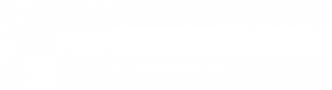 wisselaar 307